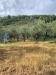 Terreno Edificabile in vendita a Foligno - 07, WhatsApp Image 2024-08-30 at 10.02.00.jpeg