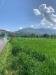 Terreno Agricolo in vendita a Assisi - 04, WhatsApp Image 2025-04-30 at 10.29.57 (2).jpeg