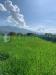 Terreno Agricolo in vendita a Assisi - 05, WhatsApp Image 2025-04-30 at 10.29.57 (3).jpeg