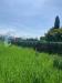 Terreno Agricolo in vendita a Assisi - 06, WhatsApp Image 2025-04-30 at 10.29.57 (4).jpeg