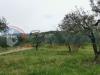 Terreno Agricolo in vendita a Assisi - 02, PHOTO-2019-05-08-19-26-01.jpg