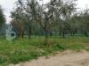 Terreno Agricolo in vendita a Assisi - 03, PHOTO-2019-05-08-19-26-01 (1).jpg