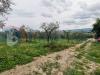 Terreno Agricolo in vendita a Assisi - 04, PHOTO-2019-05-08-19-26-01 (3).jpg