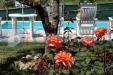 Casa indipendente in vendita con giardino a Deruta - 06, xxl (10).jpg