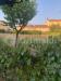 Terreno Edificabile in vendita a Bevagna - 03, WhatsApp Image 2024-07-31 at 20.22.27.jpeg