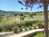Casa indipendente in vendita a Montefalco - 06, xxl (14).jpg