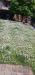 Villa in vendita a Gualdo Cattaneo - 09, c7a1d07c-5f4b-4487-bea0-c3a19b6356c9.jpg
