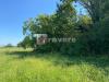 Terreno Agricolo in vendita a San Biagio di Callalta - 02, Foto 2