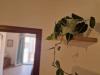 Appartamento bilocale in vendita ristrutturato a Palermo in via porta di castro 191 - 09, Foto 9
