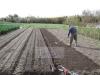 Terreno Agricolo in vendita a Venezia - 02, Foto 2