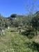 Terreno Agricolo in vendita a Ercolano - 05, image00022.jpeg
