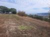 Terreno in vendita a Altidona - campagna - 05