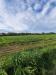 Terreno Agricolo in vendita a Sant'Elpidio a Mare - 03