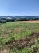 Terreno Agricolo in vendita a Altidona in contrada svarchi 21 - 04, Foto 4