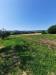 Terreno Agricolo in vendita a Altidona in contrada svarchi 21 - 05, Foto 5