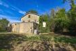Rustico in vendita a Montedinove in contrada franile - 05, Foto 5