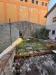 Appartamento monolocale in affitto con giardino a Ascoli Piceno in corso mazzini 268 - 09, Foto 9