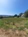 Terreno Agricolo in vendita a Montefiore dell'Aso in via valdaso - 07, Foto 7