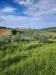 Terreno Agricolo in vendita a Montegranaro in c.da leandra snc - 04, Foto 4
