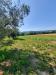 Terreno Agricolo in vendita a Altidona in contrada svarchi 21 - 07, Foto 7