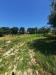 Terreno Agricolo in vendita a Altidona in contrada svarchi 21 - 08, Foto 8