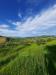 Terreno Agricolo in vendita a Montegranaro in c.da leandra snc - 08, Foto 8