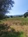 Terreno Agricolo in vendita a Montefiore dell'Aso in via valdaso - 02, Foto 2