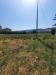 Terreno Agricolo in vendita a Montefiore dell'Aso in via valdaso - 03, Foto 3