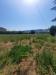 Terreno Agricolo in vendita a Montefiore dell'Aso in via valdaso - 04, Foto 4