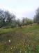Terreno Agricolo in vendita a Lapedona - 03, Foto 3