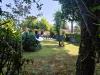 Villa in vendita con giardino a Massa - ronchi - 04