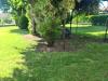 Casa indipendente in vendita con giardino a Santa Lucia di Piave in via nievo - 02, Foto 2