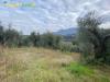 Terreno Agricolo in vendita a Palombara Sabina in san giovanni in argentella - 10, Foto 10