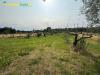 Terreno Agricolo in vendita a Guidonia Montecelio in via aureliano 17 - 10, Foto 10