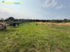 Terreno Agricolo in vendita a Guidonia Montecelio in via aureliano 17 - 03, Foto 3
