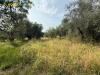 Terreno Agricolo in vendita a Guidonia Montecelio in via aureliano 17 - 04, Foto 4