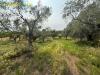 Terreno Agricolo in vendita a Guidonia Montecelio in via aureliano 17 - 06, Foto 6