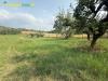 Terreno Agricolo in vendita a Guidonia Montecelio in via aureliano 17 - 07, Foto 7