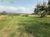 Terreno Agricolo in vendita a Guidonia Montecelio in via aureliano 17 - 08, Foto 8