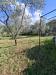 Terreno Agricolo in vendita a Palombara Sabina - 02, Foto 2