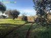 Terreno Agricolo in vendita a Palombara Sabina in strada dello storello snc - 02, Foto 2