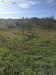 Terreno Agricolo in vendita a Guidonia Montecelio in via sant'angelo - 02, Foto 2