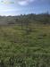 Terreno Agricolo in vendita a Guidonia Montecelio in via sant'angelo - 03, Foto 3