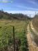 Terreno Agricolo in vendita a Guidonia Montecelio in via sant'angelo - 04, Foto 4