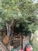 Appartamento in vendita a Moricone in via roma - 03, Foto 3