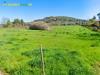 Terreno Agricolo in vendita a Palombara Sabina - 03, Foto 3