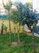Appartamento in vendita con giardino a Senigallia in via mamiani - 06