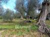 Casa indipendente in vendita con giardino a Massarosa in via delle selvarelle - 04, Foto 4