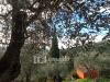 Casa indipendente in vendita con giardino a Massarosa in via delle selvarelle - 05, Foto 5
