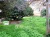 Casa indipendente in vendita con giardino a Massarosa in via pera - 03, Foto 3